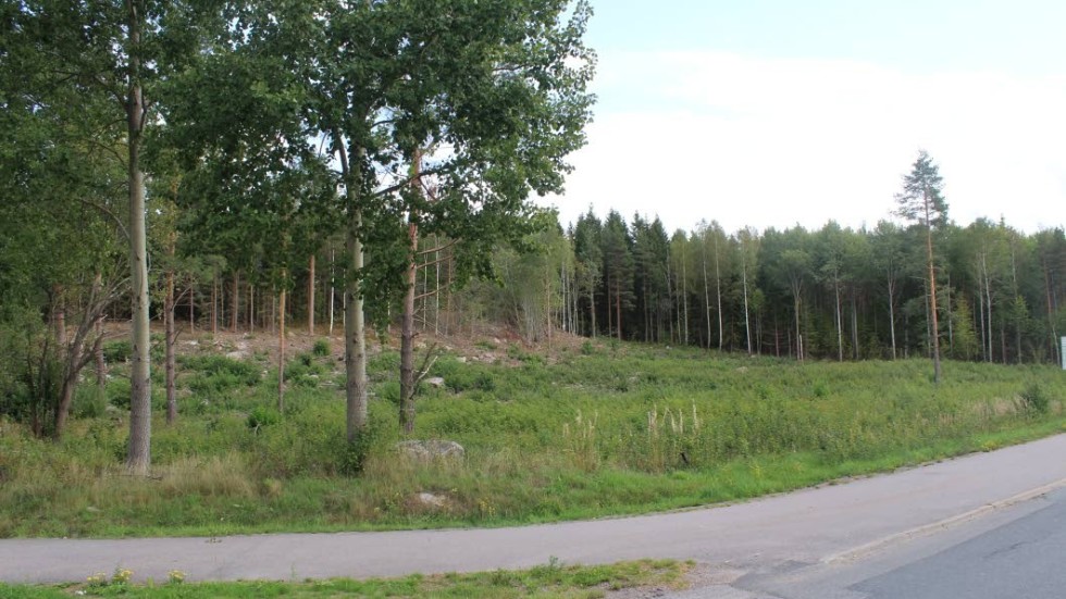 Sedan länge är Mariaberget avverkat för en ny räddningsstation. Nu har upphandlingen avbrutits