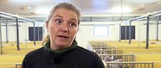 LRF:s ordförande Jeanette Blackert: "Vi kommer få se en ökad svält"