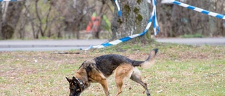 Ung tjuv spårades med hundpatrull