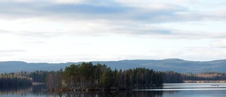 Kvinna dömd efter båtstöld