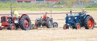 Fullt med traktorer på "Låxbo-mader"