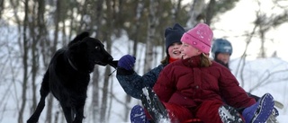 SD vill ha mer snö till Linköping