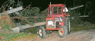 Södra Vi-bo omkom vid trädröjning