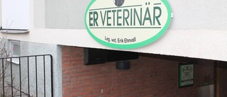 Husdjur felbehandlades – veterinär får varning