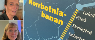 Stiltje för Norrbotniabanan – trafikutskottet möter departementet