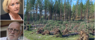 Efter stormen: Länsledningen besökte Malå