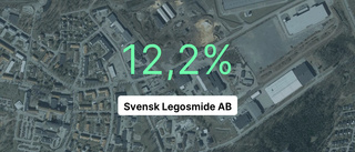 Brant intäktsfall för Svensk Legosmide AB - ner 30,1 procent