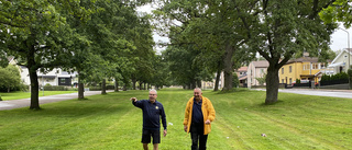 Lokala kändisen till Husbyfjöls marknad