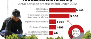 Flera branscher klarar inte nya lönekravet