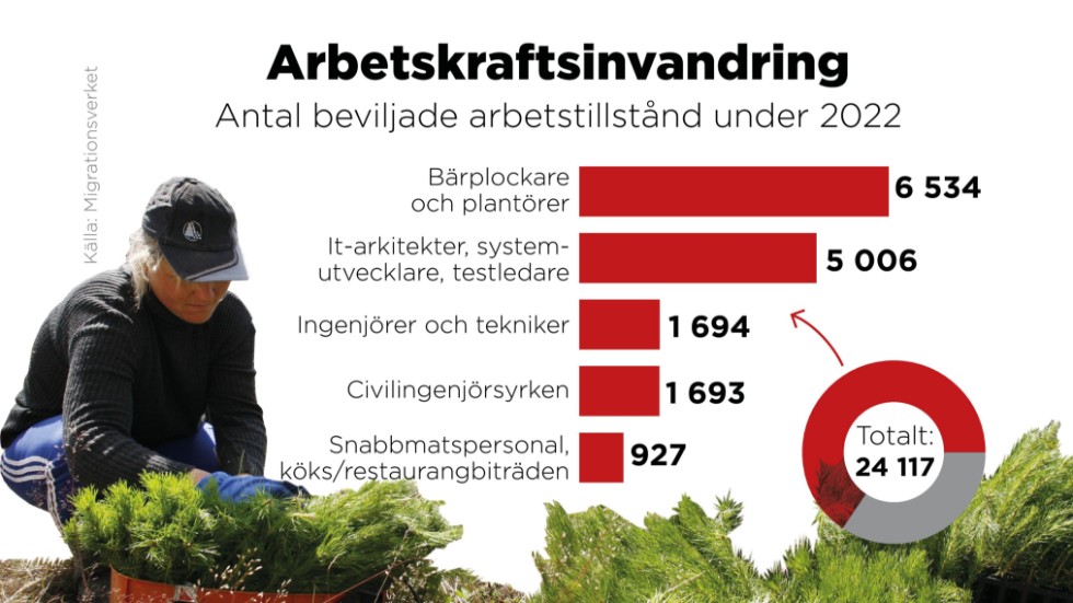 Så många arbetstillstånd beviljades under 2022 inom olika yrkeskategorier.
