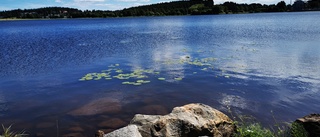 Läsarbilden: Vackert vid Norrstrand