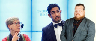 Oppositionspartiernas larv riskerar att fälla hela riksdagen