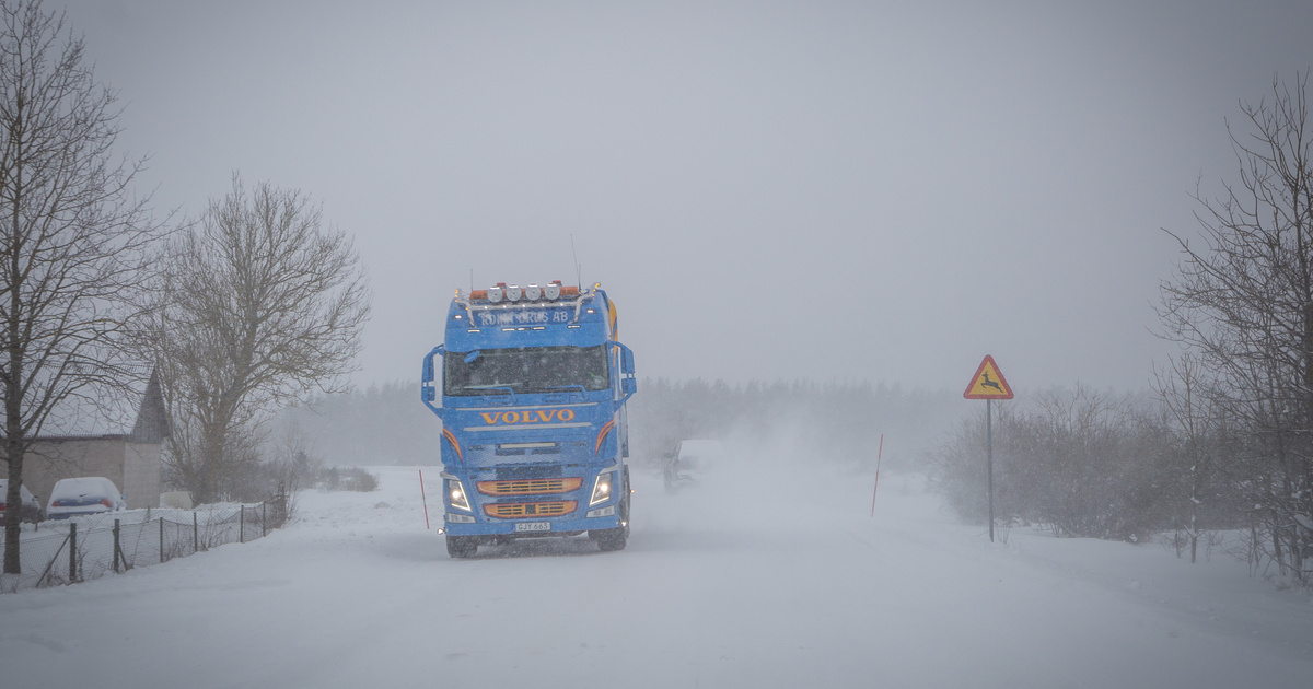 Trippelvarning: Snöstorm, ishalka och skyhögt vattenstånd