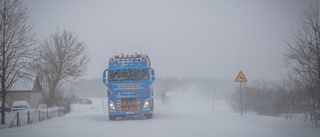 Trippelvarning: Snöstorm, ishalka och skyhögt vattenstånd