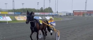 Skellefteåtravet avslutar säsongen med V65