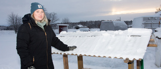 Hos Erika har rådjuren en egen restaurang 