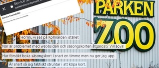 Kaoset när Parken Zoo släppte säsongskort – hemsidan kraschade