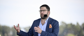 Åkesson: Inget stöd utan ministerposter