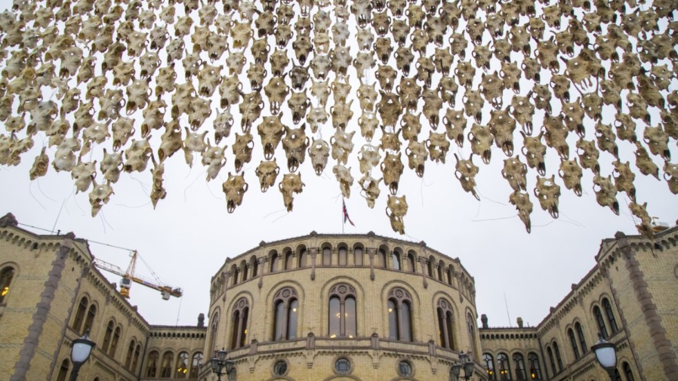 Máret Ánne Sara ställde ut "Pile o´Sápmi" framför Stortinget i Oslo samtidigt som hennes bror Jovsset Ante Sara försvarade sin rätt att leva av rennäringen i högsta domstolen. Arkivbild.