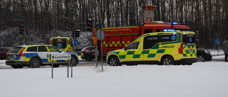 Flera personer och en hund i trafikolycka