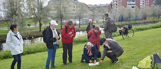 På upptäcksfärd i stadsnära natur