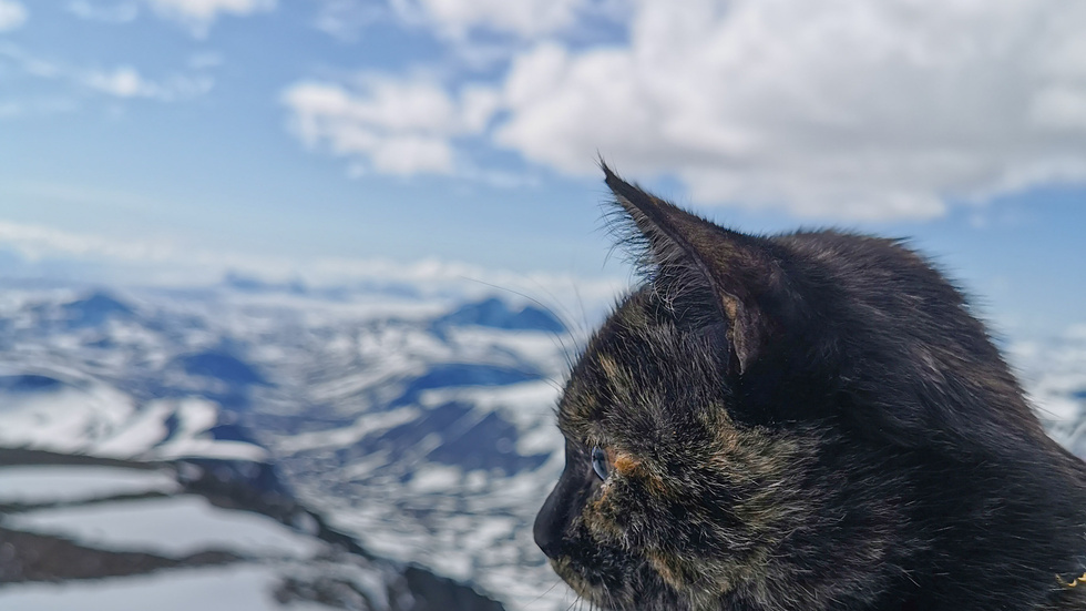 Kattis kollar in utsikten från Sveriges högsta berg.