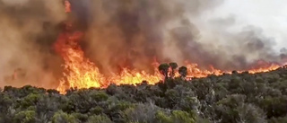 Storbrand under kontroll på Kilimanjaro