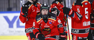 Finallaget: Så ställer Luleå/MSSK upp mot Brynäs