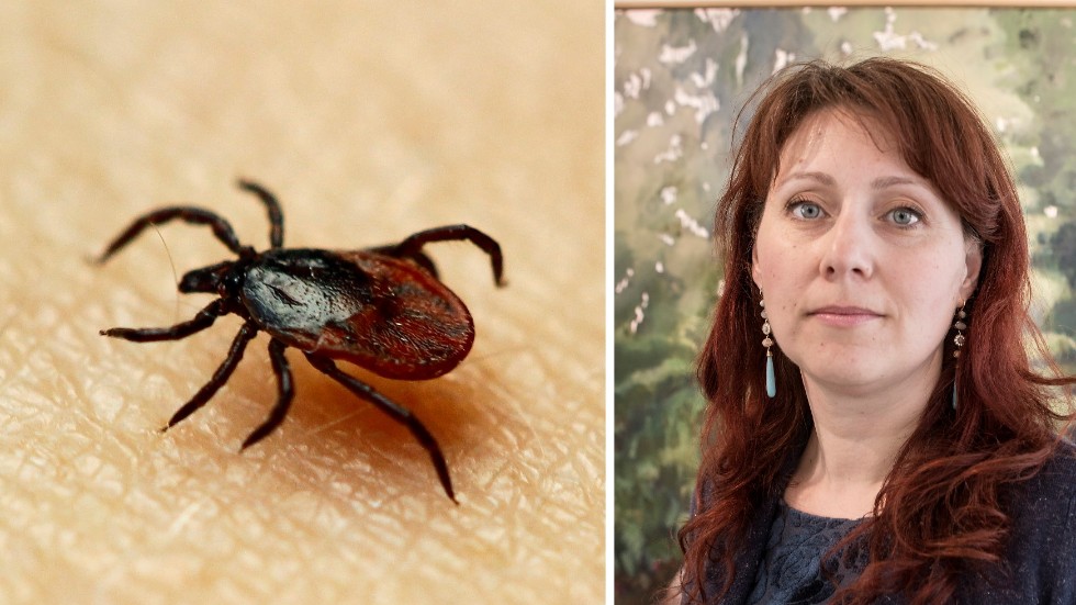 Regionrådet Vivianne Macdisi (S) menar att TBE-vaccination i dag har blivit en socioekonomisk fråga eftersom det krävs att föräldrar både har kunskap och pengar att vaccinera sina barn.