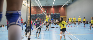 VVK utanför prispallen i JSM-volley