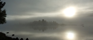 Läsarbilden: Sagolikt ljus    