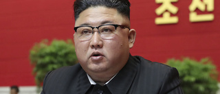 Kim ska stärka Nordkoreas försvar