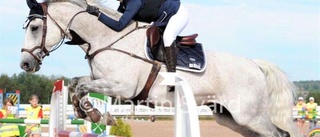 Stella Holm till Falsterbo Horse Show