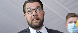 Åkesson: "SD är redo att ta ansvar"