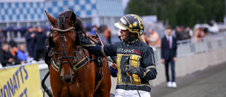 Bodenstjärnan Swagger stallas upp i Hudiksvall