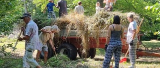 Slåtterfest i Garde           