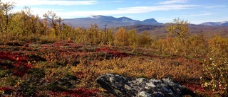 Fjällräddarens tips: Fem saker du inte ska göra när du fjällvandrar