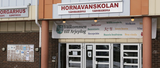 De här programmen startar på Hornavanskolan