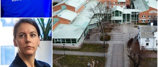 Förslaget: Här är politikern som kan efterträda Almérus