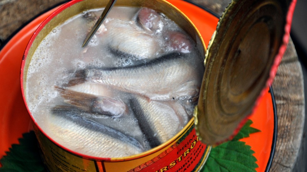 Fiskare längs med Norrlandskusten får upp för lite strömming. Arkivbild.