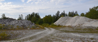 Här finns Europas största kalkfyndighet som kunde löst cementkrisen • Projektet stoppades • "Politiken styrde, det är trist"