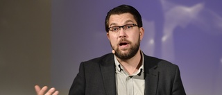 Åkesson uppmanar ledamöter att vaccinera sig