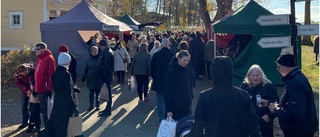 Publikrekord för Jul på Julita gård i helgen