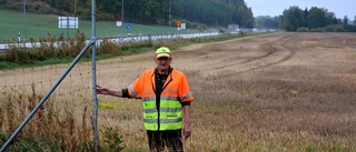 Förare smet från älgolyckan – djuret hittades apatisk i en trädgård: "Framben av på tre ställen"