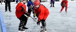 Hockeyn är länets dyraste bollsport