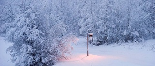 Snö och kyla väntas lagom till jul