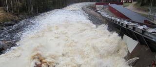 Investerar för bättre fiskvandring