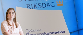 "Trots mångas tvivel lyckades Tidöpartierna komma överens"