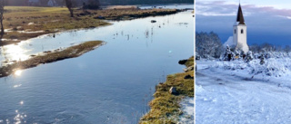 ”Det är den globala uppvärmningen vi ser” • Ovanligt varm januari – så blir vädret i veckan • ”Klimatförändringar märkbara”