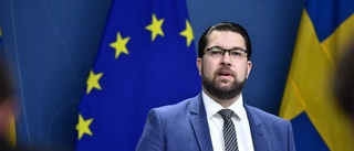 Krav ställs på att SD tar avstånd från Chang Frick efter koranbränningen • Jimmie Åkesson: ”Frick har ingen koppling till SD”